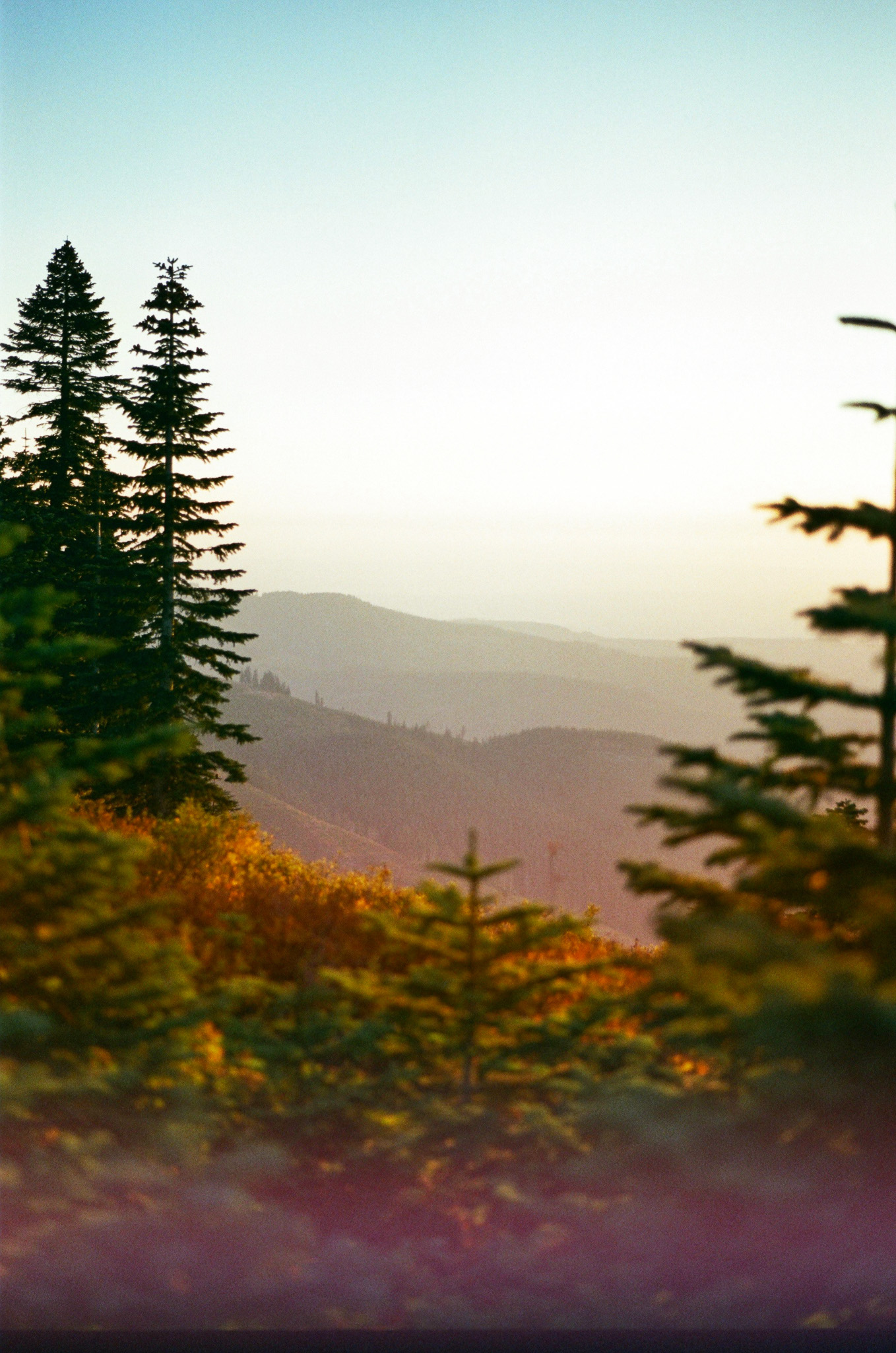 Horizon-Endodontics-Hill-Sunset-Film_2025